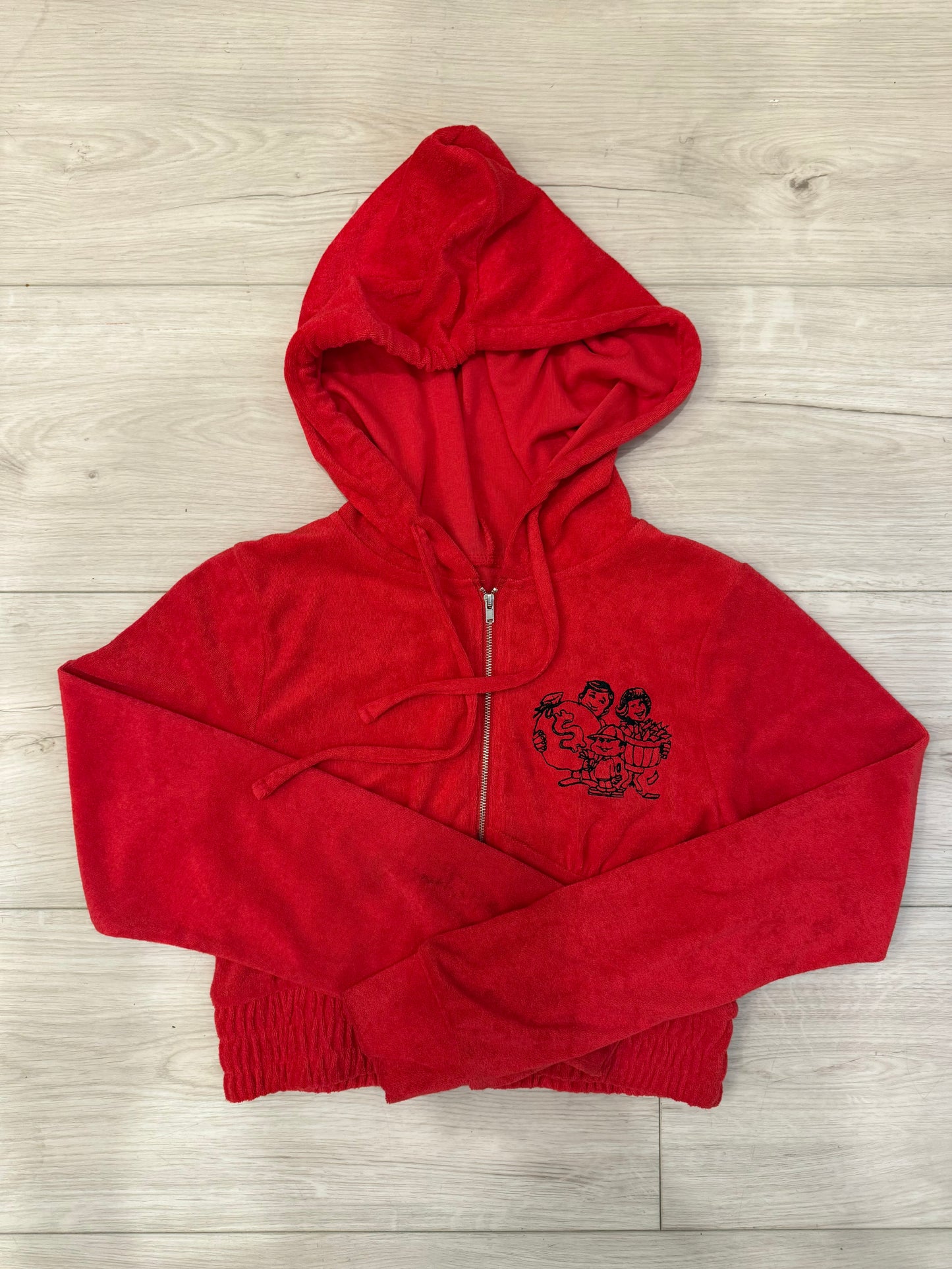 Wealthy Citizens Crop Hoodie